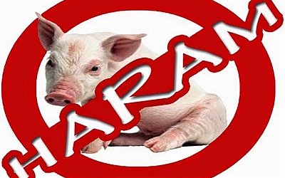 Kenapa Daging Babi Diharamkan Dalam Islam ?