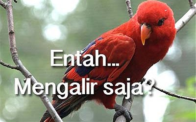 Anakku, Adakah akan Mengalir Saja?