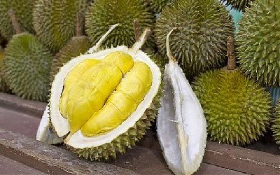 Buah Durian Menjadi Salah Satu Komoditas Eksport Terfavorit Dunia