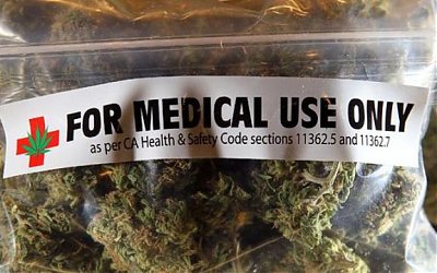 Ganja Ingin Dilegalkan, Ini Alasan Anggota Parlemen Jeram Malaysia