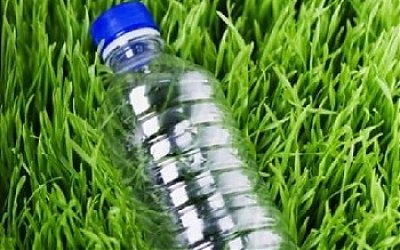 Bioplasga: Plastik Ramah Lingkungan Dari Selulosa Rumput Gajah