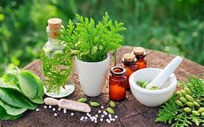 Herbal Asli Indonesia yang Berkhasiat untuk Kesehatan