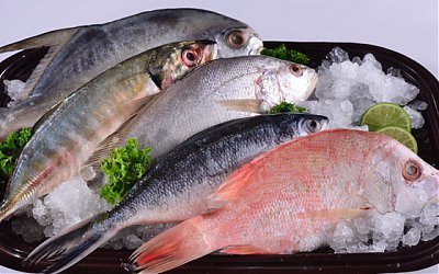 Manfaat Luar Biasa Jika kita Mengkonsumsi Ikan Secara Rutin