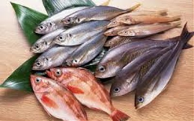 Ikan Tidak Mungkin Menang Lomba Terbang