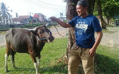 Memberi Lebih Kepada Panitia Kurban