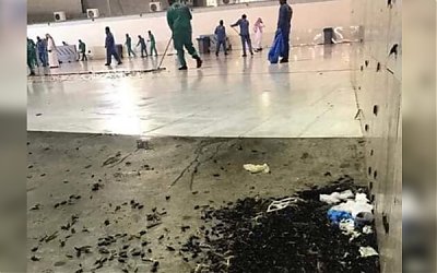 Kawasan Masjidil Haram Dipenuhi Jutaan Serangga