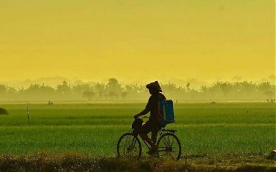 Tidak Ada Dalam Kamus Apa pun
