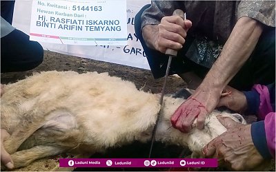 Doa Menyembelih Hewan Qurban dalam Berbagai Riwayat