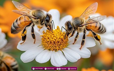 Ibarat Lebah, Orang Beriman Hanya Mengambil yang Baik dan Memberikan yang Terbaik 