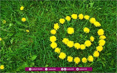 Ada Kejenakaan Nu’aiman di Antara Keceriaan Nabi