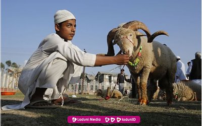 Menyoal Qurban untuk Orang yang Telah Meninggal