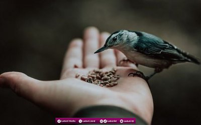 Pahala Meneladani Sifat Maha Pengasih Allah