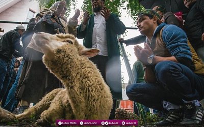 Memperhatikan Bacaan Niat Ibadah Qurban