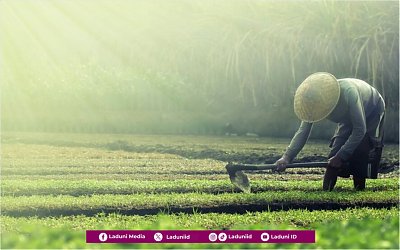 Khutbah Jumat: Antara Ikhtiar, Kerja Keras, dan Tawakkal Ada Kemajuan dan Kesuksesan