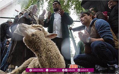 Memperhatikan Bacaan Niat Ibadah Qurban