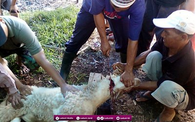 Doa Menyembelih Hewan Qurban dalam Berbagai Riwayat