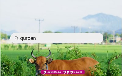 Hukum Qurban Sunnah atau wajib?