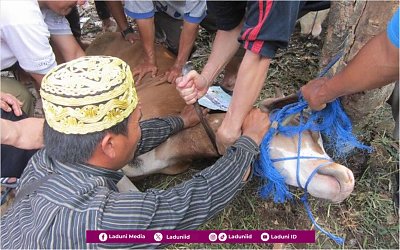 Doa Menyembelih Hewan Qurban Atas Nama Pemiliknya