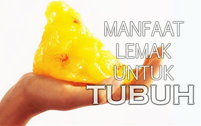 Cukupkah Bakar Lemak Cuma Andalkan Kardio?