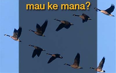 VUCA, Mau Ke Mana Kita?