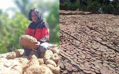 Kisah Paidi yang Dulu Pemulung Kini Ingin Umrahkan Satu Desa