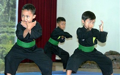 UNESCO Tetapkan Pancak Silat Sebagai Warisan Budaya Dunia