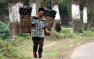 Kisah Tragis Santri Yang Jadi Penjual Arang