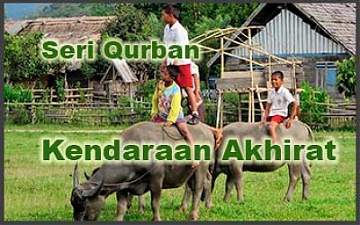 Penjelasan Hewan Qurban menjadi Kendaraan di Akhirat