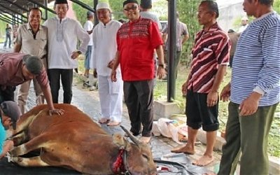 Fakta Unik Cara Sembelih Hewan Kurban, Bandingkan dengan Barat
