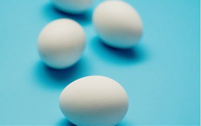 Manfaat Konsumsi Dua Butir Telur Setiap Pagi