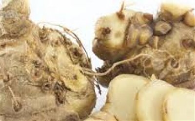 Khasiat Luar Biasa dari Temulawak untuk Kesehatan