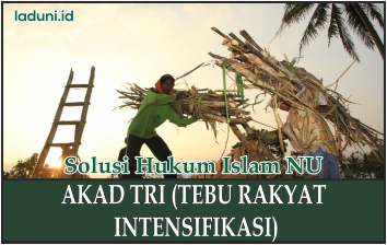 Hukum Akad TRI (Tebu Rakyat Intensifikasi)