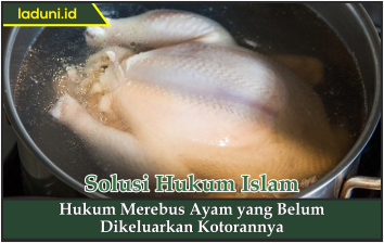 Hukum Merebus Ayam yang Belum Dikeluarkan Kotorannya