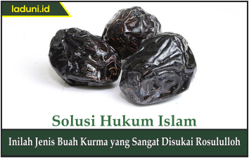 Inilah Jenis Buah Kurma yang Sangat Disukai Rosululloh