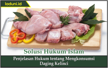 Penjelasan Hukum tentang Mengkonsumsi Daging Kelinci