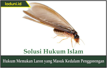 Hukum Memakan Laron yang Masuk ke Dalam Penggorengan