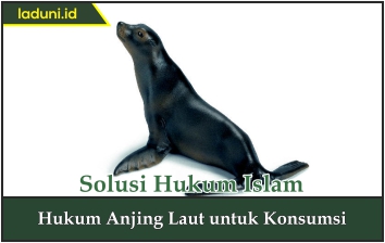 Hukum Anjing Laut untuk Konsumsi