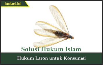 Hukum Laron untuk Konsumsi