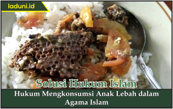 Hukum Mengkonsumsi Anak Lebah dalam Agama Islam