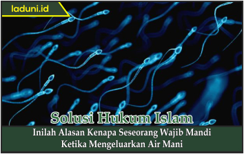 Inilah Enam Sebab Orang Islam Diwajibkan Mandi Junub Thaharah Bersuci Laduni Layanan Digital Untuk Negeri