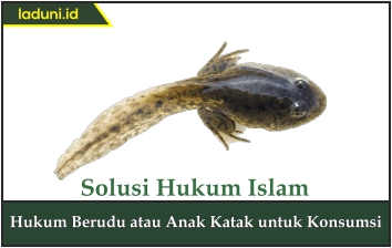 Hukum Berudu atau Anak Katak untuk Konsumsi