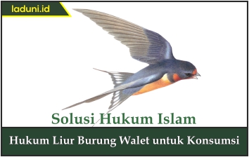 Hukum Liur Burung Walet untuk Konsumsi