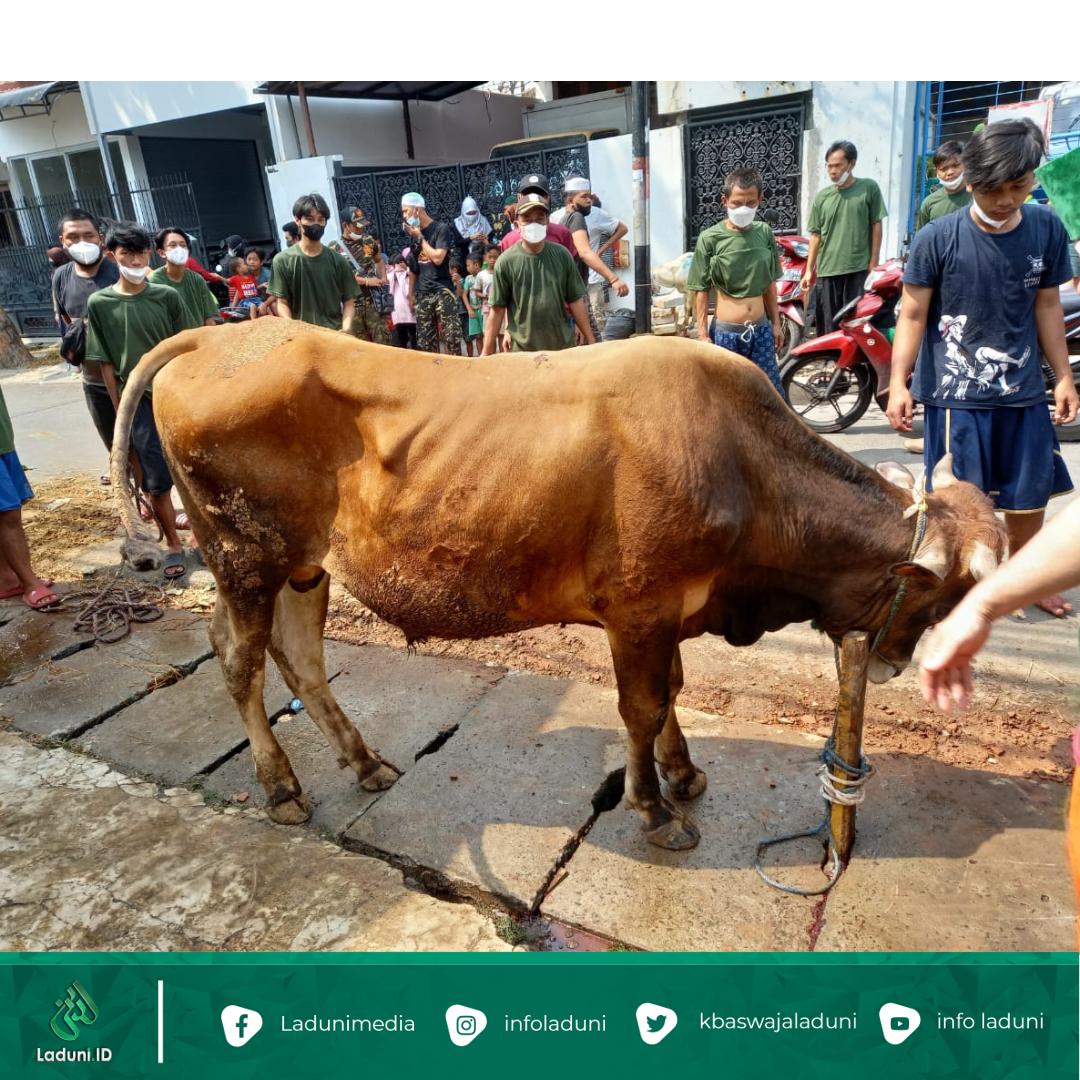 Bantu Warga Terdampak PPKM Darurat, PCNU Jakpus Bagikan 1.300 Bungkus Daging Qurban