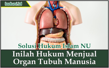 Inilah Hukum Menjual Organ Tubuh Manusia