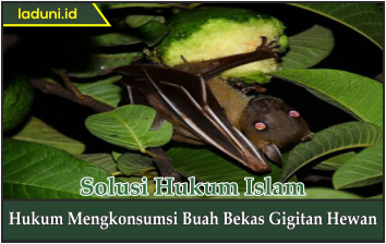 Hukum Mengkonsumsi Buah Bekas Gigitan Hewan