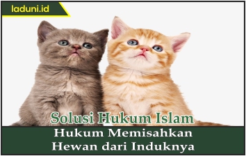 Hukum Memisahkan Hewan dari Induknya