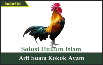 Arti Suara Kokok Ayam