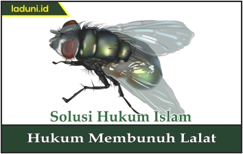 Hukum Membunuh Lalat