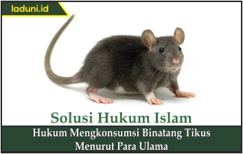 Hukum Mengkonsumsi Binatang Tikus Menurut Para Ulama