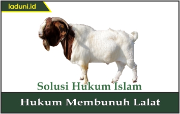 Hukum Anak Kambing yang Menyusu pada Anjing